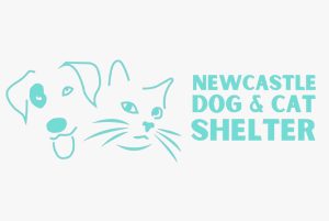 dog and cat shelter