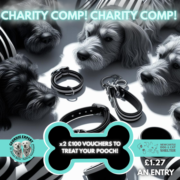 CHARITY DRAW x2 £100 VOUCHERS FOR ST JAMES BARK THE GEORDIE EXPERTS SHOP