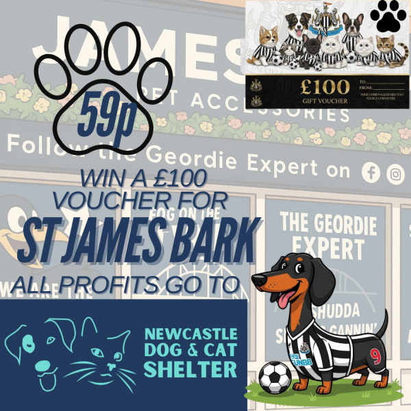CHARITY DRAW ONLY 59p A TICKET ALL PROFITS GO TO NEWCASTLE DOG AND CAT SHELTER HELP A GREAT CAUSE AND WIN A FANTASTIC PRIZE